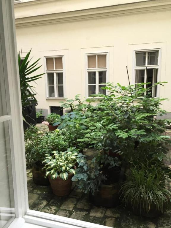 City Apartment Wien Eksteriør bilde